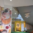 신림역 맛집 - 와플대학 신림역 포도몰 캠퍼스