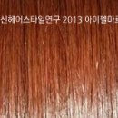 헤어칼라 Daum카페