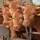 병길농장 이미지