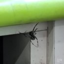 [주간 지출 일기] 8월 둘째주(8일 ~ 14일)