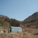 천등농장 이미지