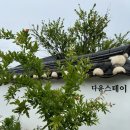다윤스테이 | [경주] 깔끔한 황리단길 신상 한옥 숙소 ‘다윤스테이’ 다녀온 후기