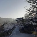 소림길 이미지