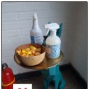 영 모 당 이미지