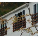 남해황토가 이미지