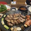 금관꽃돼지 이미지