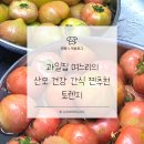 토마토 | [다이어트 음식] 달콤 상큼! 과일처럼 즐기는 건강한 간식 토렌지 토마토 후기