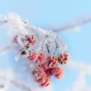 씨유 대전중촌금호점 | 대전 중촌동 맛집 베스트 10 추천
