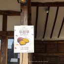 안리푸드 | 창녕 이방면 안리마을 맛집 안리식당 창녕우포곤충나라 근처 밥집 맛집 - 안리식당 (내돈내산)