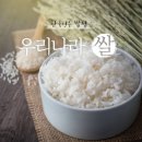 쌀 이미지