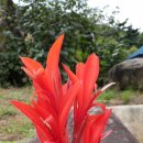 메이플팜 이미지