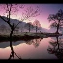 꿈꾸는강 이미지