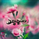 서울언니