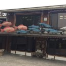 하루방가든 이미지