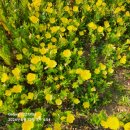 숲속향기생태어린이집 이미지