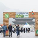푸드숲 이미지
