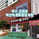 백년백세 고려삼계탕 | 온천장밥집 백년백세토종삼계탕 허심청 보양식