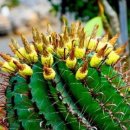 지산전자 이미지