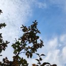 밤재농장 이미지