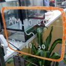 노란단무지 이미지