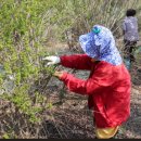 미락농장 이미지