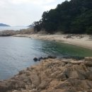 로뎀나무펜션민박 이미지