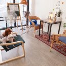 도담도담이발소 이미지