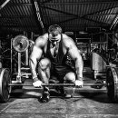 크라운짐 이미지