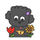 보현민박오토캠핑장 이미지