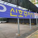 대라참치
