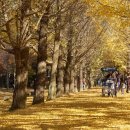 상동역2번출구 이미지