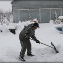 들꽃농장 이미지