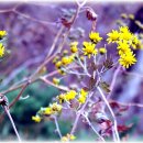 봄과가을이 이미지