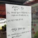 16 | 마산카페 생망고빙수 맛집 16빙수 | 동남아, 신X호텔 느낌 제대로인 마산 빙수 맛집 추천