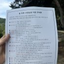 충주 캠핑장 숲속 힐링 제대로 늘 푸른 사랑농원 캠핑장 방문 후기