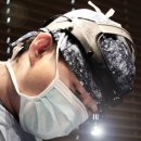 노블앤코의원 이미지