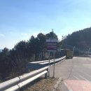 영덕가볼만한곳 : 죽도산전망대 공사일정, 해맞이공원 어묵맛집
