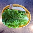 돈제주 이미지