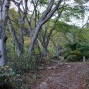 산촌2민박 이미지