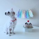 지에스(GS)25 울산학성중앙점 | [곰곰한 일상] 아직 일월인게 핵소름