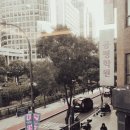 에그라상 이미지