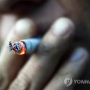 성균관대학교 국정관리대학원 이미지