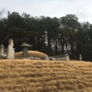 김유선생 신도비 이미지