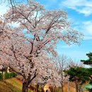용강산업