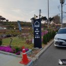 익산 꽃잔디 이쁜 금마 카페 숨앤티
