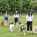 나의 단짝 반려동물 | 반려동물 보호자 커뮤니티 활용법