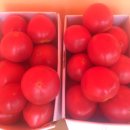 동팔이네 이미지