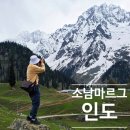 알프스 | 인도 카슈미르 여행 필수 코스, 소남마르그 인도의 알프스 후기