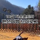 캠프위드펫&애견글램핑 이미지