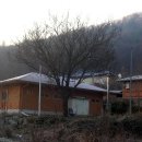 강사랑민박 이미지